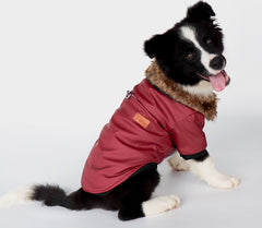 Dog clothes leather jacket