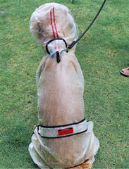 Large dogs go out waterproof raincoat