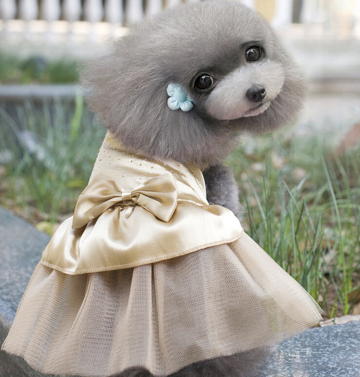 Dog wedding dress