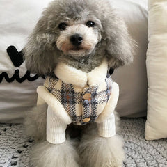 Winter pet cute cotton coat