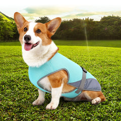 Pet Cooling Clothing Dog Clothing Pet Cooling Pet Supplies