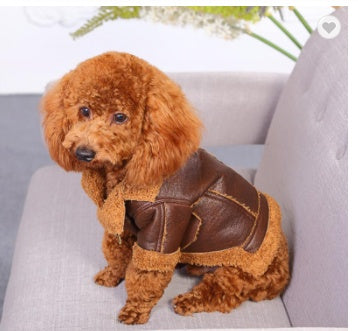 Punk Leather Sweater Dog Autumn And Winter Clothes